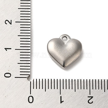 304 Stainless Steel Pendants(STAS-R223-02A)-3