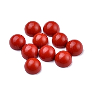 Synthetic Coral Cabochons, Half Round, 4x2~4mm(G-P393-R65-4MM)
