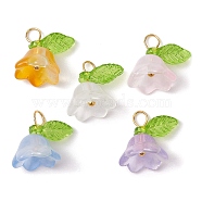 5Pcs 5 Color Glass Flower of Life Charms, with Brass Loops, Golden, 13x14.5x11mm, Hole: 2.2mm, 1Pc/color(PALLOY-JF02301-01)