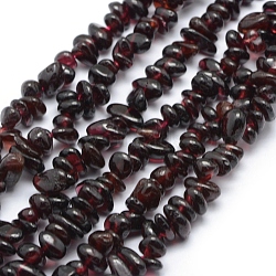 Natural Garnet Beads Strands, Chip, 5~7mm, Hole: 0.8mm, about 16 inch(40.6cm)(X-G-P332-72)