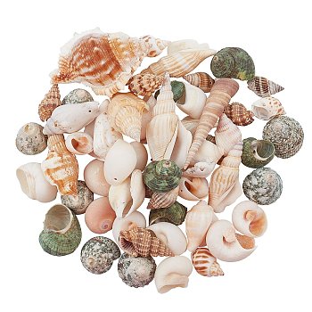 Natural Spiral Shell Pendants, Mixed Color, 20~76x10~53x10~34mm, Hole: 1.2~2mm, 322g/box