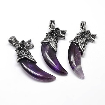 Tusk Shape with Wolf Antique Silver Zinc Alloy Natural Amethyst Big Pendants, Lead Free & Nickel Free, 53~57x23x10mm, Hole: 4.5x8mm