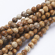 Gemstone Beads Strands, Natural Picture Jasper, Round, about 6mm in diameter, hole: about 0.8mm, 15~16 inch(X-GSR6mmC016)