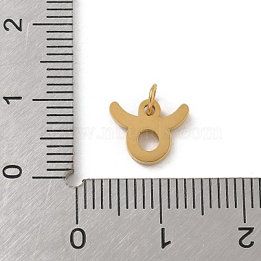 304 Stainless Steel Charms(STAS-R001-04G-02)-3