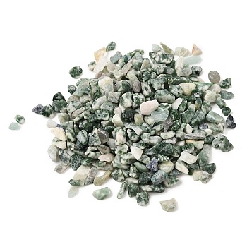 Natural Green Spot Jasper Chip Beads, No Hole/Undrilled, 3~9x3~5x3~5mm