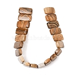1 Strand Natural Picture Jasper Beads Strands, Rectangle, 2-Hole, 20x9.5~10x6mm, Hole: 1.2mm, about 20~21pcs/strand, 8.11~8.39 inch(20.6~21.3cm)(G-YW0002-49)