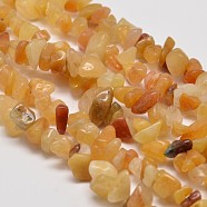 Natural Yellow Aventurine Chip Beads Strands, 5~8x5~8mm, Hole: 1mm, about 34 inch(X-G-L269-36)