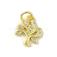 Brass Micro Pave Cubic Zirconia Charms, Real 18K Gold Plated, Tree of Life Charms, Clear, 13x10x1.5mm, Hole: 3mm(KK-M283-27A-01)