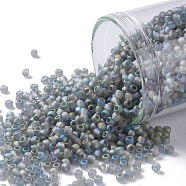TOHO Round Seed Beads, Japanese Seed Beads, (176BF) Transparent AB Frost Gray, 11/0, 2.2mm, Hole: 0.8mm, about 5555pcs/50g(SEED-XTR11-0176BF)