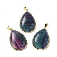 Natural Fluorite Pendants, Teardrop Charms, with Brass Findings, Lead Free & Cadmium Free, Golden, 40x26x8.5mm, Hole: 6mm(G-H285-04G)