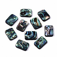 Natural Abalone Shell/Paua Shell Beads, Rectangle, Colorful, 14.5x10.5x3.5mm, Hole: 1mm(SSHEL-T014-11A)