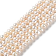 Natural Pearl Beads Strands, Round, Grade 3A, PapayaWhip, 5~5.5mm, Hole: 0.5mm, about 76~83pcs/strand, 15.16~15.35''(38.5~39cm)(PEAR-E018-99)