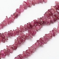 Chips Natural Tourmaline Beads Strands, Old Lace, 3~5x3~5x3~5mm, Hole: 1mm, about 16 inch(X-G-N0164-04B)