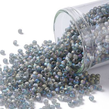 TOHO Round Seed Beads, Japanese Seed Beads, (176BF) Transparent AB Frost Gray, 11/0, 2.2mm, Hole: 0.8mm, about 5555pcs/50g