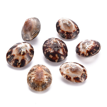 Natural Shell Pendants, Saddle Brown, 26.5~30x21.5~24x10~14mm, Hole: 1mm