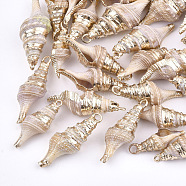 Electroplate Spiral Shell Pendants, with Iron Findings, Light Gold, PeachPuff, 24~37x9~14x9~12mm, Hole: 2mm(SSHEL-S262-25)