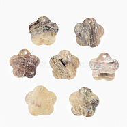 Natural Akoya Shell Pendants, Mother of Pearl Shell Pendants, Flower, Camel, 15x15.5x1mm, Hole: 1.2mm(SHEL-R048-024)