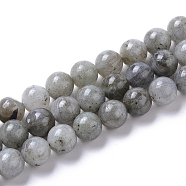 Natural Labradorite Beads Strands, Round, 8mm, Hole: 1.4mm, about 50pcs/strand, 15.75 inches(40cm)(G-I261-D02-8mm)