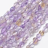 Natural Ametrine Beads Strands, Tumbled Stone, Nuggets, 6~8x4~6mm, Hole: 1mm, about 66pcs/strans, 15.3 inch(39cm)(G-F521-22)