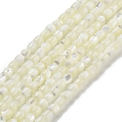 Natural Trochid Shell/Trochus Shell Beads Strands, Column, WhiteSmoke, 3.5x3~3.5mm, Hole: 0.5mm, about 106pcs/strand, 15.16''(38.5cm)(BSHE-G038-01)