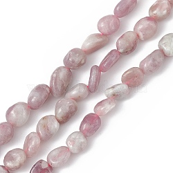 Natural Plum Blossom Tourmaline Beads Strands, Chip, 4~8x3~7x3~7mm, Hole: 0.9mm, about 61~64pcs/strand, 15.35''(39cm)(G-B039-01A)