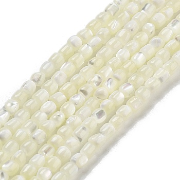 Natural Trochid Shell/Trochus Shell Beads Strands, Column, WhiteSmoke, 3.5x3~3.5mm, Hole: 0.5mm, about 106pcs/strand, 15.16''(38.5cm)