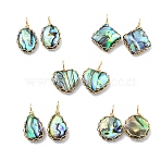 Copper Wire Wrapped Natural Paua Shell Pendants, Geometric Charms, Mixed Shapes, Golden, 19.5~24x12~16.5x4~4.5mm, Hole: 3~3.5mm(PALLOY-JF05711)