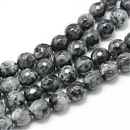 Natural Larvikite Bead Strands, Dyed, Faceted Round, 10mm, Hole: 1mm, about 38pcs/strand, 14.5 inch(G-R176-10mm-07)