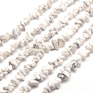 Synthetic White Howlite Chip Bead Strands, Dyed, 5~8x5~8mm, Hole: 1mm, about 31.5 inch(G-M205-53)