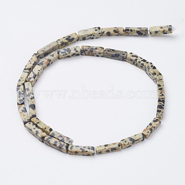 Natural Dalmatian Jasper Beads Strands(X-G-G968-D10)-2
