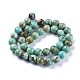 Natural Howlite Beads Strands(X-TURQ-F017-02-10mm)-2