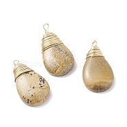Copper Wire Wrapped Natural Picture Jasper Pendants, Real 18K Gold Plated, Teardrop, 29~31.5x16.5x6.3mm, Hole: 2~2.5mm(PALLOY-JF01178)