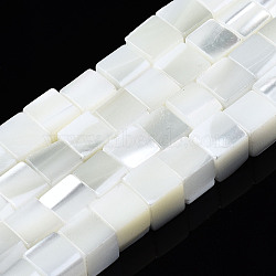Natural Trochid Shell/Trochus Shell Beads Strands, Cube, Bleach, Seashell Color, 6x6x6mm, Hole: 0.7mm, about 67~68pcs/strand, 15.75 inch(40cm)(SSHEL-S266-008)