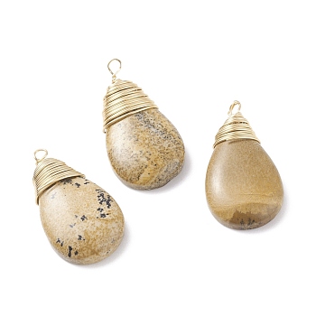 Copper Wire Wrapped Natural Picture Jasper Pendants, Real 18K Gold Plated, Teardrop, 29~31.5x16.5x6.3mm, Hole: 2~2.5mm