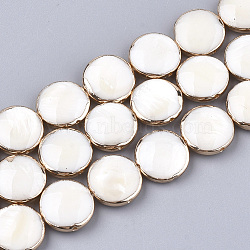 Freshwater Shell Multi-strand Links Strands, 4-Hole, Flat Round, Light Gold Plated Edge, 13x5mm, Hole: 1mm, about 15pcs/strand, 7.4 inch(SSHEL-T007-20B)