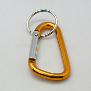 Aluminum Carabiner Keyring, with Iron Clasps, Oval, Gold, 57x30.5mm(KEYC-C010-7)