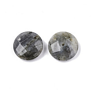 Natural Labradorite Connector Charms, Faceted, Flat Round, 20x6~7mm, Hole: 1.4mm, Half Hole: 1.5mm(G-N326-149A)