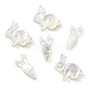 6Pcs 2 Styles Natural White Shell Beads, Carrot & Rabbit, Seashell Color, 11~11.5x6~12x2~3mm, Hole: 0.7~0.9mm, 3pcs/style(BSHE-CJ0001-05)