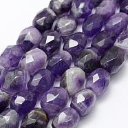 Natural Amethyst Beads Strands, Faceted, Column, 12~20x10~16mm, Hole: 1mm, about 21~23pcs/strand, 15.3 inch(39cm)(G-P322-45)