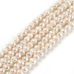 Natural Cultured Freshwater Pearl Beads Strands, Potato, Bisque, 5.5x5.5~7mm, Hole: 0.6mm, about 60pcs/strand, 13.39 inch(34cm)(PEAR-L033-06)