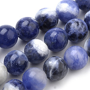 Natural South Africa Sodalite Beads Strands, Round, Grade AB+, 12mm, Hole: 1mm, about 31pcs/strand, 15.04 inch(38.2cm)(G-S259-35-12mm-01)