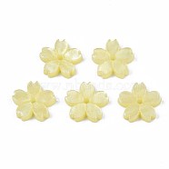 Opaque Acrylic Beads, Sakura, Champagne Yellow, 10.5x11x2mm, Hole: 1.2mm(SACR-S273-31G)