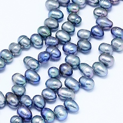 Natural Cultured Freshwater Pearl Beads Strands, Dyed, Potato, Cornflower Blue, 7~10x6~7mm, Hole: 0.8mm, about 65pcs/strand, 13.7 inch(35cm)(PEAR-G004-01C)