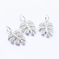 Brass Micro Pave Cubic Zirconia Charms, Tropical Leaf Charms, Monstera Leaf, Lead Free & Nickel Free & Cadmium Free, Platinum, 14x9.5x2mm, Hole: 3mm(KK-P133-04P-NR)