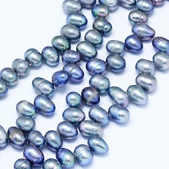 Natural Cultured Freshwater Pearl Beads Strands, Dyed, Potato, Cornflower Blue, 7~10x6~7mm, Hole: 0.8mm, about 65pcs/strand, 13.7 inch(35cm)