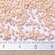 MIYUKI Delica Beads(SEED-X0054-DB0354)-4