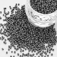 Glass Cylinder Beads, Seed Beads, Baking Paint, Round Hole, Gray, 1.5~2x1~2mm, Hole: 0.8mm, about 45000pcs/bag, about 1pound/bag(SEED-S047-A-011)
