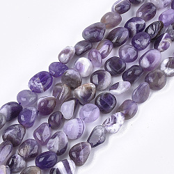 Natural Amethyst Beads Strands, Nuggets, 8~19x8~12x4~8mm, Hole: 0.8mm, about 37pcs/strand, 15.9 inch(X-G-T105-33)