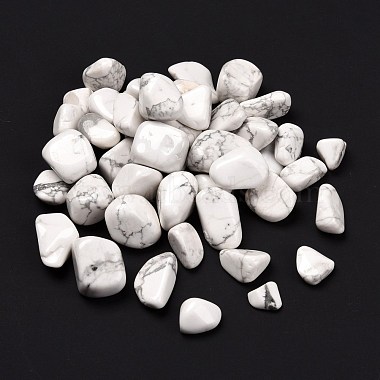 Natural Howlite Beads(G-O029-08D)-2