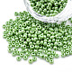 8/0 Czech Opaque Glass Seed Beads(SEED-N004-003A-04)-1
